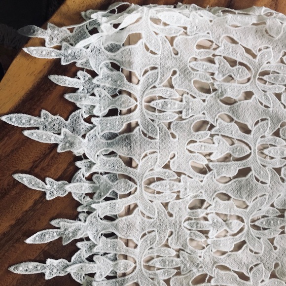 Lace Dress Size 10 - Picture 3 of 6